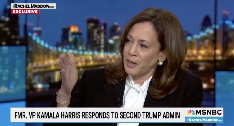 Harris Pushes Same Rhetoric That Got Charlie Kirk Assassinated