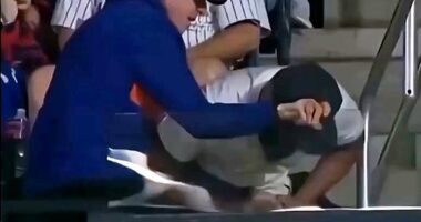 The older fan, in blue, and the younger fan, in white, are seen scrambling for the ball