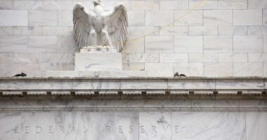 Here’s how stocks historically perform after Fed rate cuts when trading near record highs