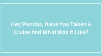Hey Pandas, Have You Ever Taken A Cruise And What Was It Like?
