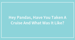 Hey Pandas, Have You Ever Taken A Cruise And What Was It Like?