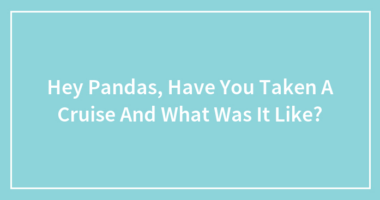 Hey Pandas, Have You Ever Taken A Cruise And What Was It Like?