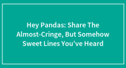 Hey Pandas: Share The Almost-Cringe, But Somehow Sweet Lines You’ve Heard