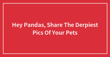 Hey Pandas, Share The Derpiest Pics Of Your Pets