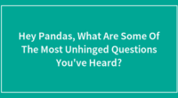 Hey Pandas, What Are Some Of The Most Unhinged Questions You’ve Heard?