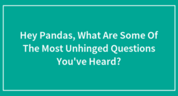 Hey Pandas, What Are Some Of The Most Unhinged Questions You’ve Heard?