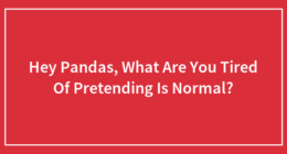 Hey Pandas, What Are You Tired Of Pretending Is Normal?