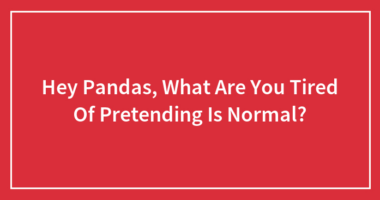 Hey Pandas, What Are You Tired Of Pretending Is Normal?