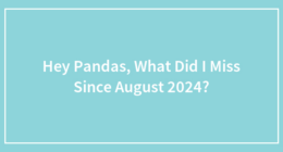 Hey Pandas, What Did I Miss Since August 2024?