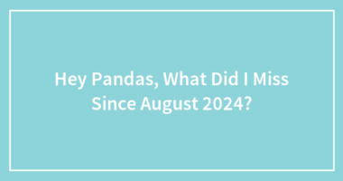 Hey Pandas, What Did I Miss Since August 2024?
