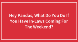 Hey Pandas, What Do You Do If You Have In-Laws Coming For The Weekend?