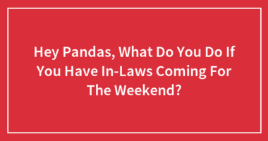 Hey Pandas, What Do You Do If You Have In-Laws Coming For The Weekend?