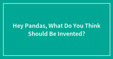 Hey Pandas, What Do You Think Should Be Invented?