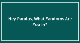 Hey Pandas, What Fandoms Are You In?