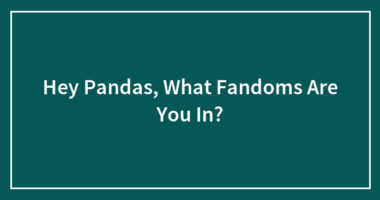 Hey Pandas, What Fandoms Are You In?