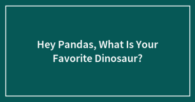 Hey Pandas, What Is Your Favorite Dinosaur?