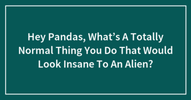 Hey Pandas, What’s A Totally Normal Thing You Do That Would Look Insane To An Alien?