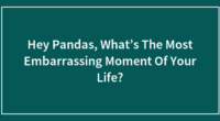 Hey Pandas, What’s The Most Embarrassing Moment Of Your Life?