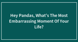 Hey Pandas, What’s The Most Embarrassing Moment Of Your Life?