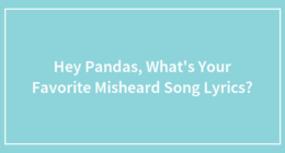 Hey Pandas, What’s Your Favorite Misheard Song Lyrics?