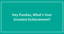 Hey Pandas, What’s Your Greatest Achievement?
