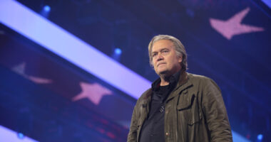 Hillary Admits Bannon Outmaneuvered Democrats Online.