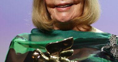 Hollywood legend Kim Novak made a rare public appearance at the Venice Film Festival this week