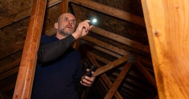 A man named Quinn was clearing out some stuff from his attic when he came across a doll that looked straight out of a horror movie (stock image)