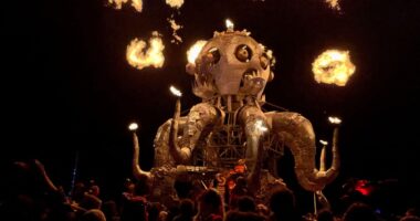 Homicide investigation launched at Burning Man after man found dead in pool of blood, cops say