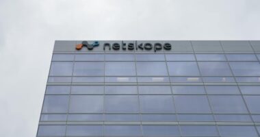 Hot IPO market continues, as cybersecurity-software company Netskope raises $908 million