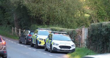 A man who 'climbed out' of a hot air balloon and plunged to his death had bought the flight experience himself, police have said. Emergency services are pictured at the scene in West Sussex on Friday