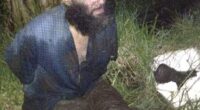 Malcolm Naden was on the run for seven years, wanted for two murders committed in his home town of Dubbo in western NSW. He is pictured after his capture in March 2012