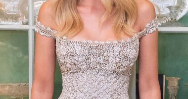 In light of the backlash, experts have weighed in exclusively to Daily Mail on whether an overtly pro-Trump personality - or even one of the Trumps themselves - should be the new face of TV, like his daughter, Ivanka Trump