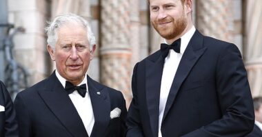 Harry recently had a 53-minute meeting with his father - the first time the pair met face-to-face in around 18 months (pictured in London in April 2019)
