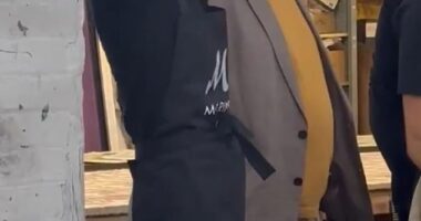 The Princess of Wales impressed royal fans yesterday after she tied her locks up without using a hair band