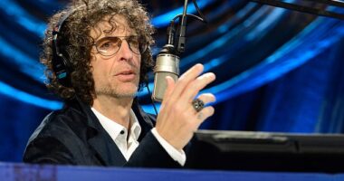 Howard Stern is hunting a ‘mole’ inside his own radio empire after leaks about his contract talks sparked panic and finger-pointing among his 95-strong staff; seen in 2014