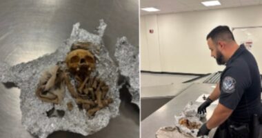 Human skull and bones discovered in passenger’s luggage at Florida airport