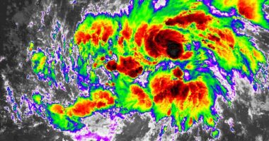 The system, designated Invest AL92, now has a 90 percent chance of developing into a cyclone over the next seven days. Meteorologists believe it could even intensify into a hurricane