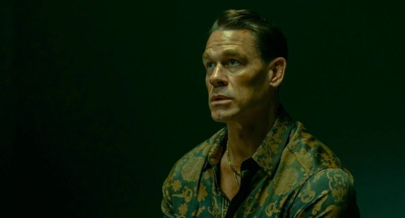 I Understood Peacemaker's Big Decision But Now I'm Worried About It
