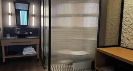 This picture of a hotel bathroom was shared to Reddit accompanied by the four-word statement: 'It's somewhat¿ limited privacy.'