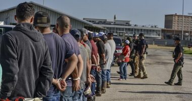 ICE reveals it arrested five migrants with criminal records on Tuesday in their nationwide crackdown on illegal immigration