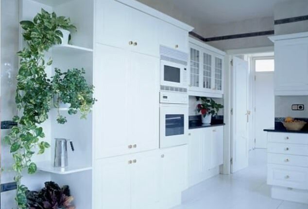 I'm an interior designer and you should stop using white paint in your homes