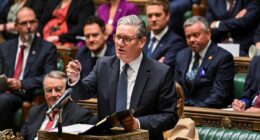 Inquiry launched after ‘sex noise’ phone found in House of Commons