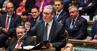 Inquiry launched after ‘sex noise’ phone found in House of Commons