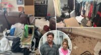 Inside Denise Richards and Aaron Phypers' house of squalor with stained rugs and moth-covered clothes