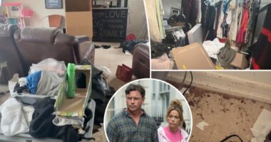 Inside Denise Richards and Aaron Phypers' house of squalor with stained rugs and moth-covered clothes