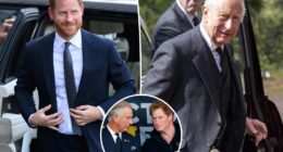 Inside Prince Harry's 53-minute meeting with King Charles