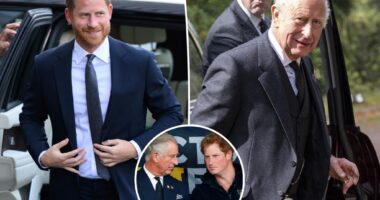 Inside Prince Harry's 53-minute meeting with King Charles