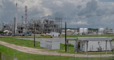 Interactive map shows how much pollution is blanketing your city