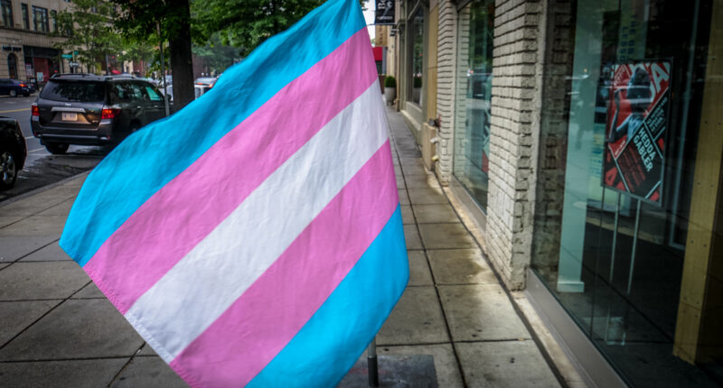 It’s Time To Eradicate Transgenderism From Public Life